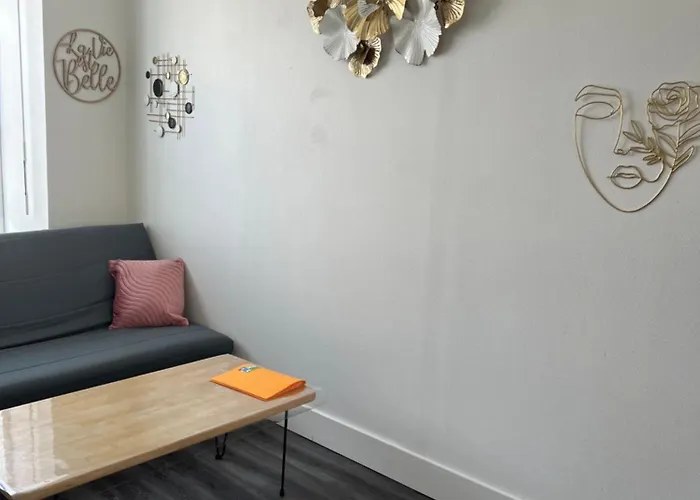 Joli T1 Avec Parking Gratuit *