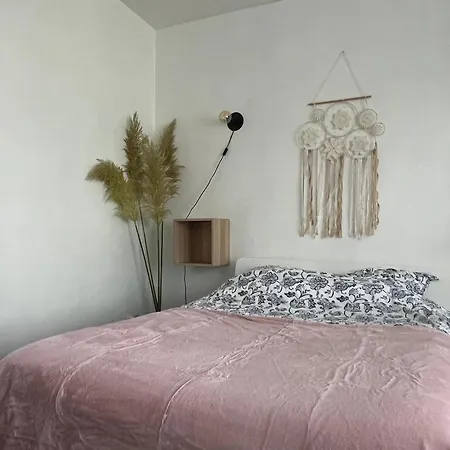 Joli T1 Avec Parking Gratuit Appartement *