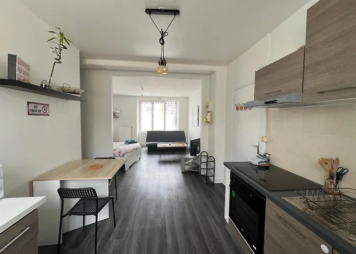 Joli T1 Avec Parking Gratuit Apartman *