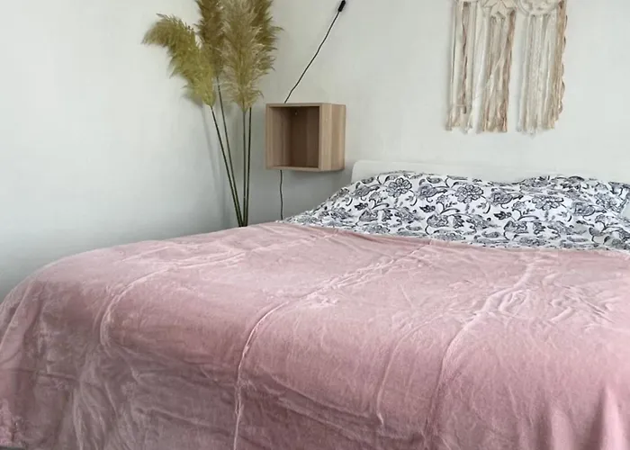 Joli T1 Avec Parking Gratuit