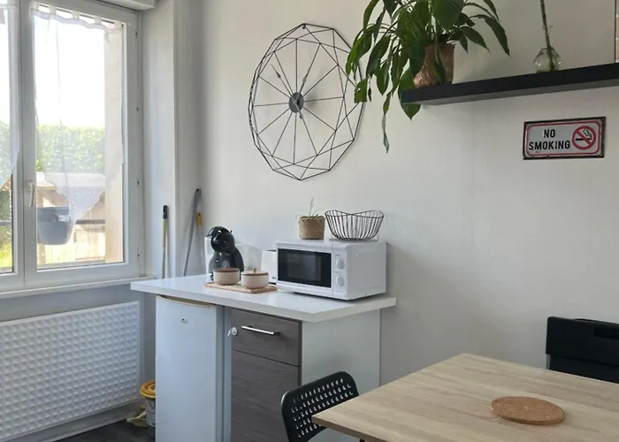 Joli T1 Avec Parking Gratuit Breszt