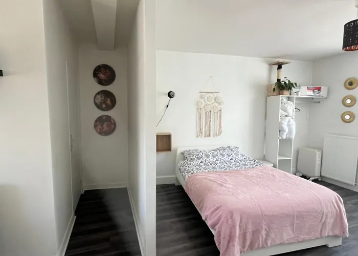 Apartman Joli T1 Avec Parking Gratuit Breszt