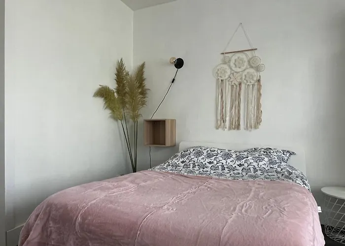 Joli T1 Avec Parking Gratuit Apartman *