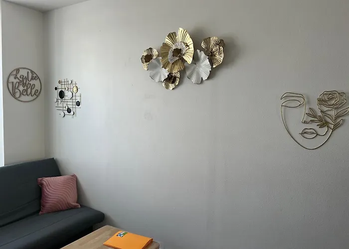 Joli T1 Avec Parking Gratuit